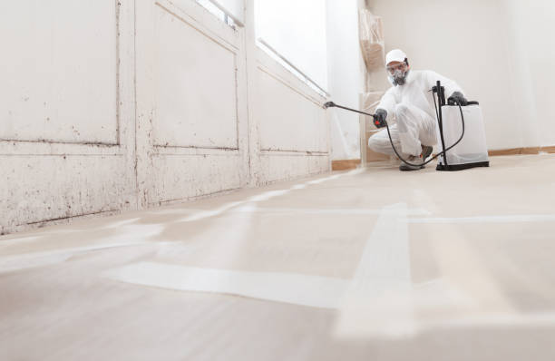 24/7 Emergency Mold Remediation experts in Linden, NJ